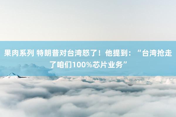 果肉系列 特朗普对台湾怒了！他提到：“台湾抢走了咱们100%芯片业务”