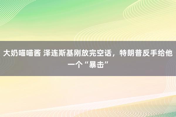 大奶喵喵酱 泽连斯基刚放完空话，特朗普反手给他一个“暴击”