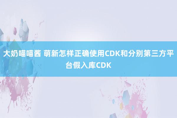 大奶喵喵酱 萌新怎样正确使用CDK和分别第三方平台假入库CDK