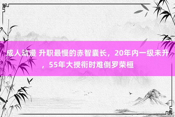 成人动漫 升职最慢的赤智囊长，20年内一级未升，55年大授衔时难倒罗荣桓