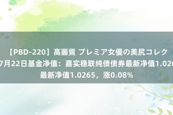 【PBD-220】高画質 プレミア女優の美尻コレクション8時間 7月22日基金净值：嘉实稳联纯债债券最新净值1.0265，涨0.08%