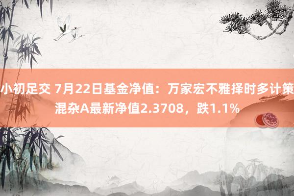 小初足交 7月22日基金净值：万家宏不雅择时多计策混杂A最新净值2.3708，跌1.1%