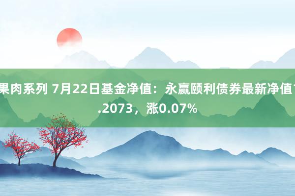 果肉系列 7月22日基金净值：永赢颐利债券最新净值1.2073，涨0.07%