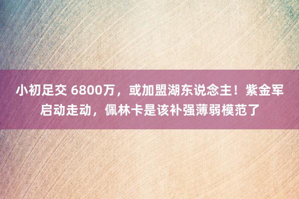 小初足交 6800万，或加盟湖东说念主！紫金军启动走动，佩林卡是该补强薄弱模范了