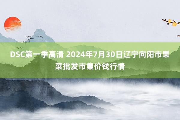 DSC第一季高清 2024年7月30日辽宁向阳市果菜批发市集价钱行情