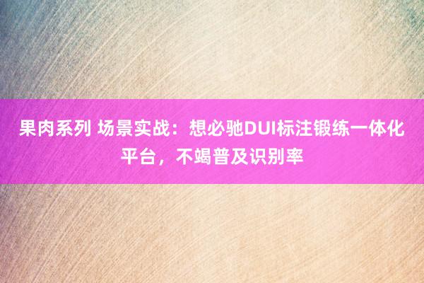 果肉系列 场景实战：想必驰DUI标注锻练一体化平台，不竭普及识别率