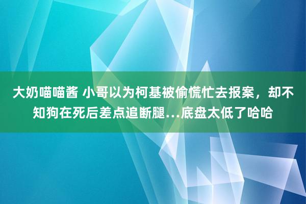 大奶喵喵酱 小哥以为柯基被偷慌忙去报案，却不知狗在死后差点追断腿…底盘太低了哈哈