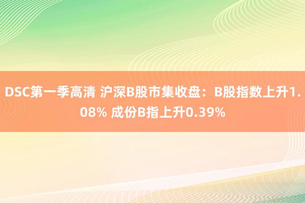 DSC第一季高清 沪深B股市集收盘：B股指数上升1.08% 成份B指上升0.39%