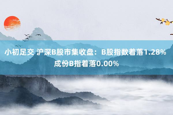 小初足交 沪深B股市集收盘：B股指数着落1.28% 成份B指着落0.00%