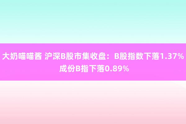 大奶喵喵酱 沪深B股市集收盘：B股指数下落1.37% 成份B指下落0.89%