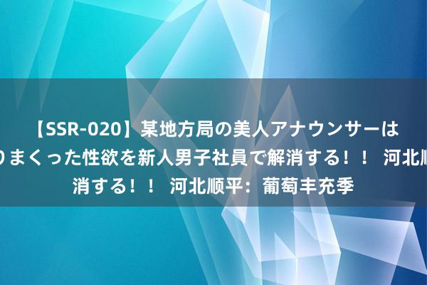 【SSR-020】某地方局の美人アナウンサーは忙し過ぎて溜まりまくった性欲を新人男子社員で解消する！