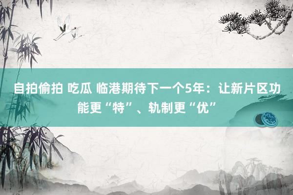 自拍偷拍 吃瓜 临港期待下一个5年：让新片区功能更“特”、轨制更“优”