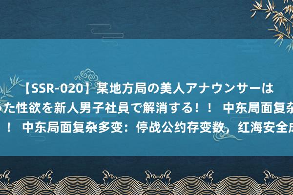 【SSR-020】某地方局の美人アナウンサーは忙し過ぎて溜まりまくった性欲を新人男子社員で解消する！！ 中东局面复杂多变：停战公约存变数，红海安全成新挑战