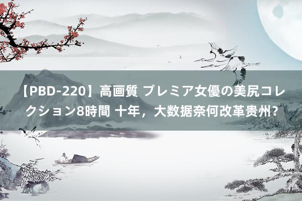 【PBD-220】高画質 プレミア女優の美尻コレクション8時間 十年，大数据奈何改革贵州？